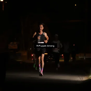 Runner Photo 4330816