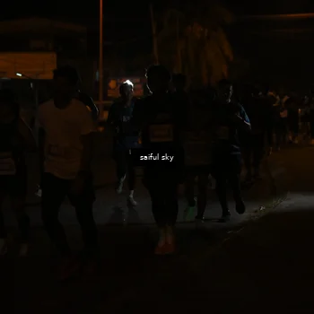 Runner Photo 4330834