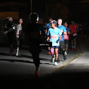 Runner Photo 4330840