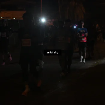 Runner Photo 4330843