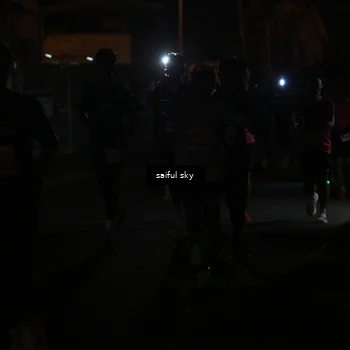 Runner Photo 4330846
