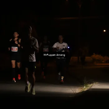 Runner Photo 4330856