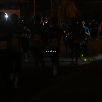 Runner Photo 4330857
