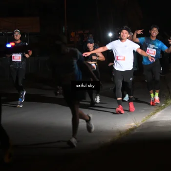 Runner Photo 4330861