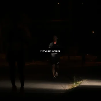 Runner Photo 4330863
