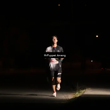 Runner Photo 4330864