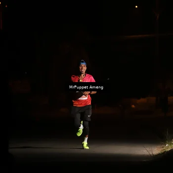 Runner Photo 4330868