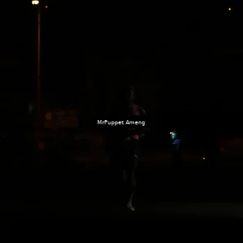 Runner Photo 4330871