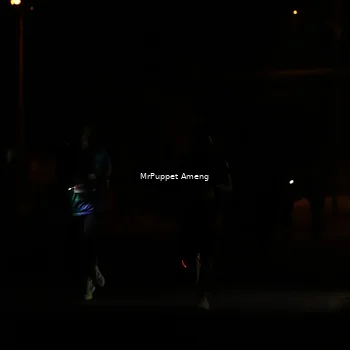 Runner Photo 4330873