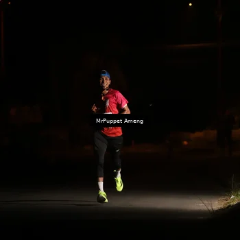 Runner Photo 4330874