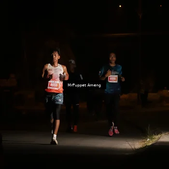 Runner Photo 4330877