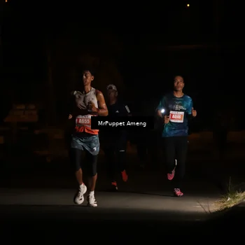 Runner Photo 4330878