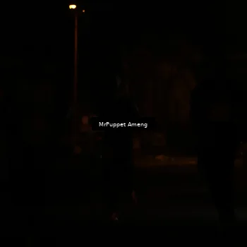 Runner Photo 4330879