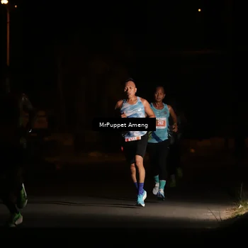 Runner Photo 4330886