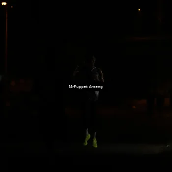Runner Photo 4330889