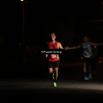 Runner Photo 4330891