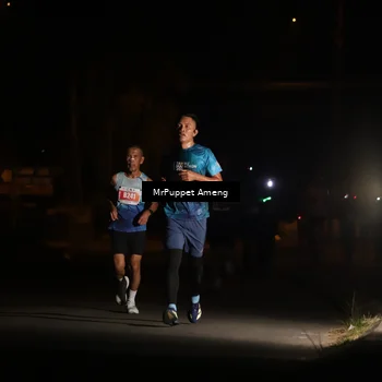 Runner Photo 4330892