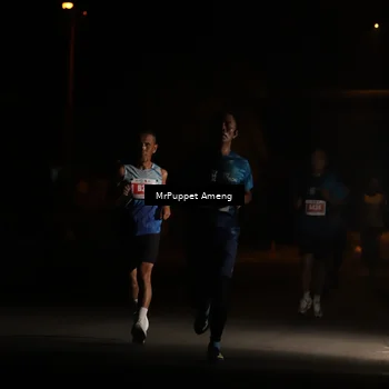 Runner Photo 4330894