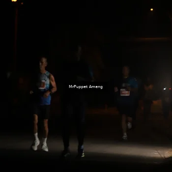 Runner Photo 4330895