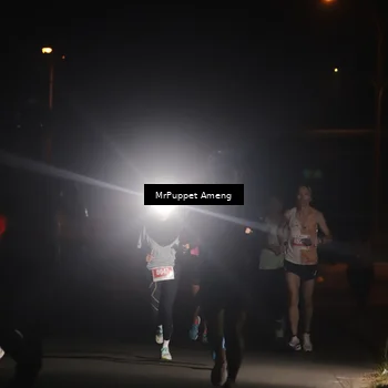 Runner Photo 4330907