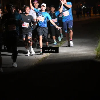 Runner Photo 4330911
