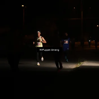 Runner Photo 4330913