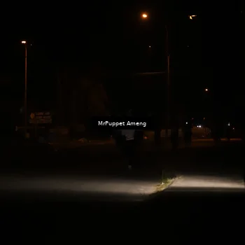 Runner Photo 4330919