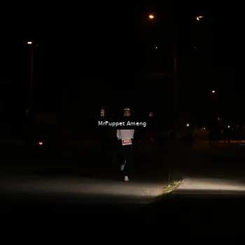 Runner Photo 4330920