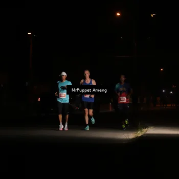 Runner Photo 4330929