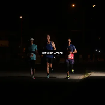 Runner Photo 4330932