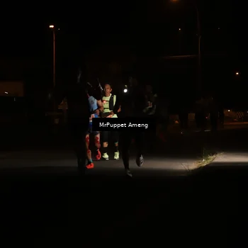 Runner Photo 4330937