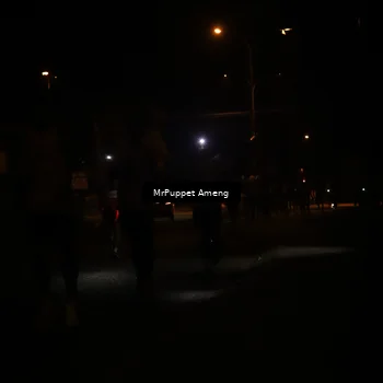 Runner Photo 4330949