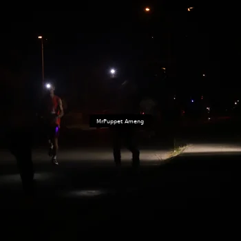 Runner Photo 4330950