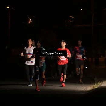 Runner Photo 4330961