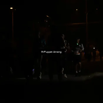 Runner Photo 4330965