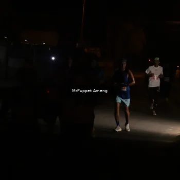 Runner Photo 4330967
