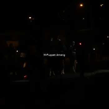 Runner Photo 4330968