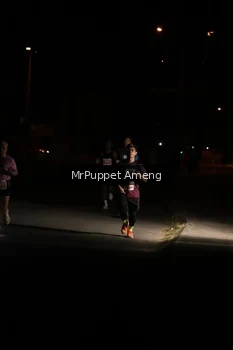 Runner Photo 4330973