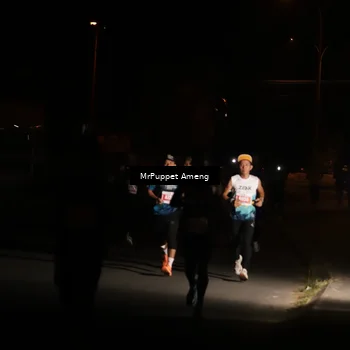 Runner Photo 4330984