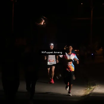 Runner Photo 4331003
