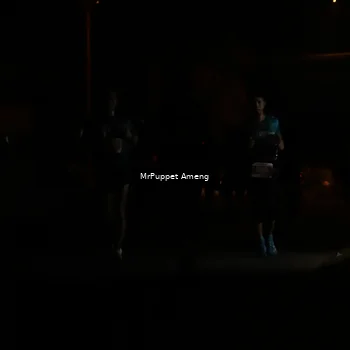 Runner Photo 4331038