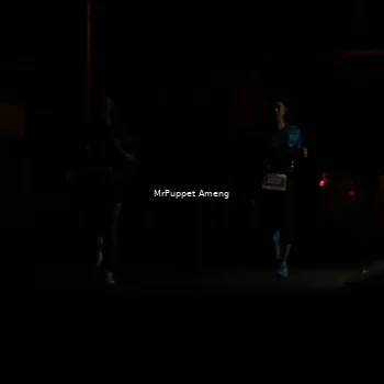 Runner Photo 4331039