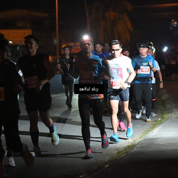 Runner Photo 4331042