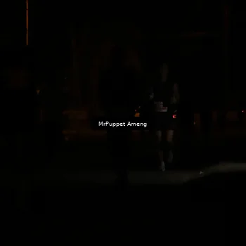 Runner Photo 4331043