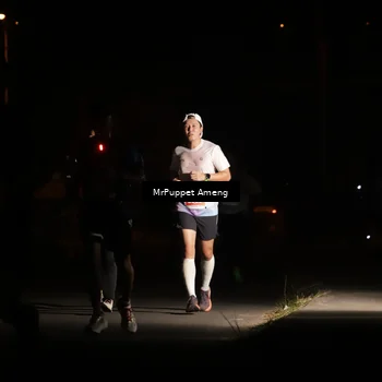 Runner Photo 4331047