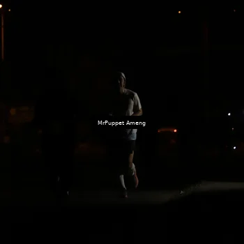 Runner Photo 4331048