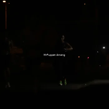 Runner Photo 4331049