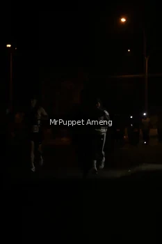 Runner Photo 4331054