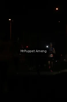 Runner Photo 4331056