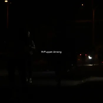 Runner Photo 4331058